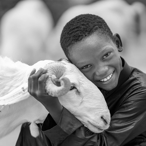 Qurbani